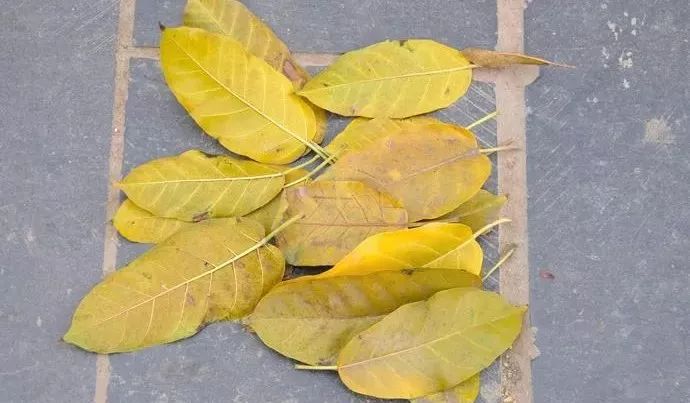 3岁前孩子数学启蒙有用吗,3岁时数学启蒙