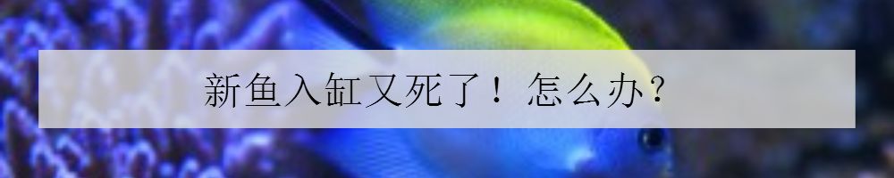 海缸害怕阳光照射吗,海缸如何压制褐藻
