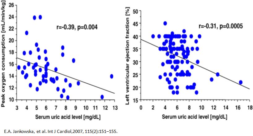 心衰肾衰伴高尿酸怎么治疗,心衰引起的肌酐和尿酸高怎么办