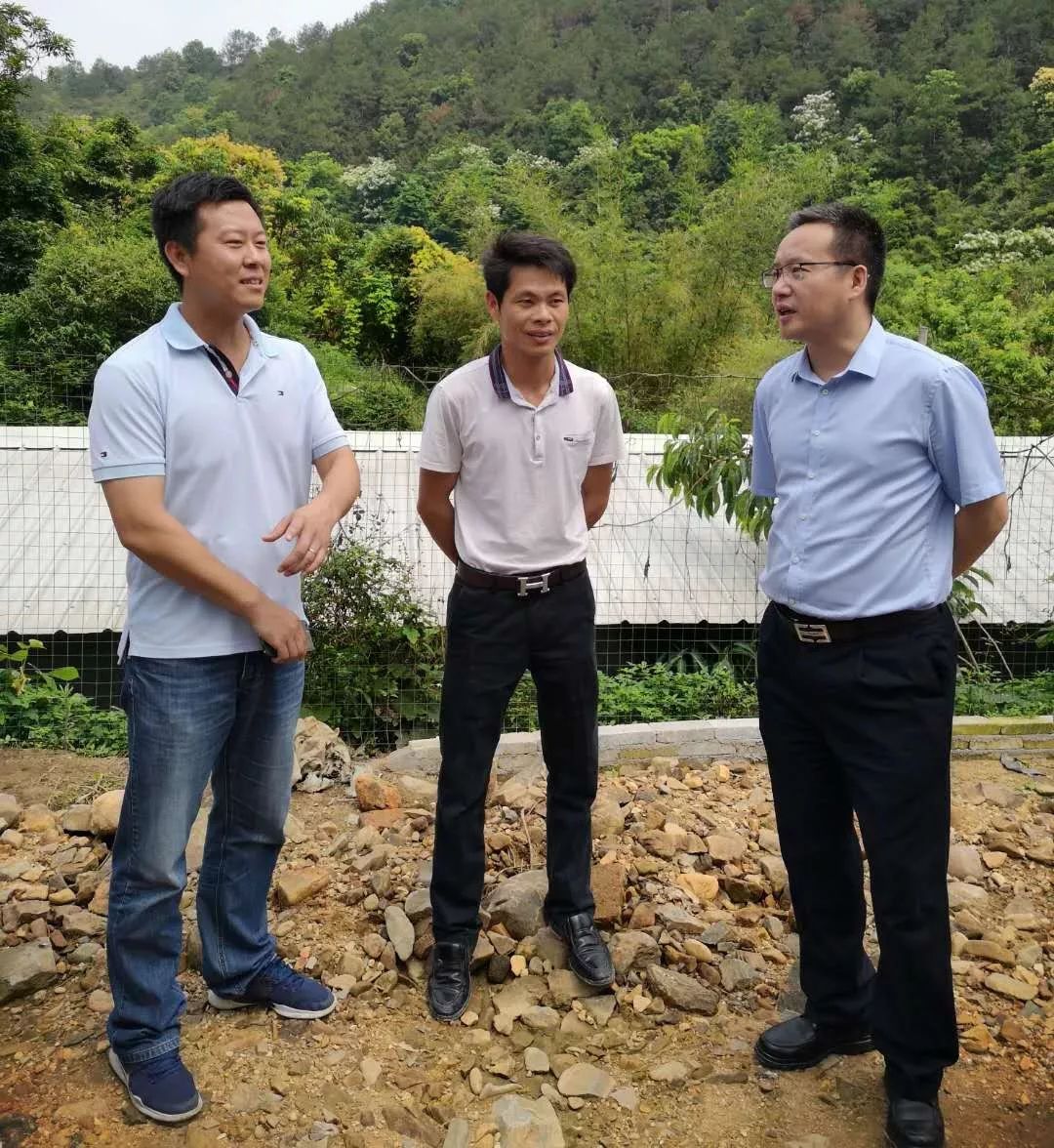 为带领农村致富的年轻人点赞,返乡创业养家禽带动村民脱了贫