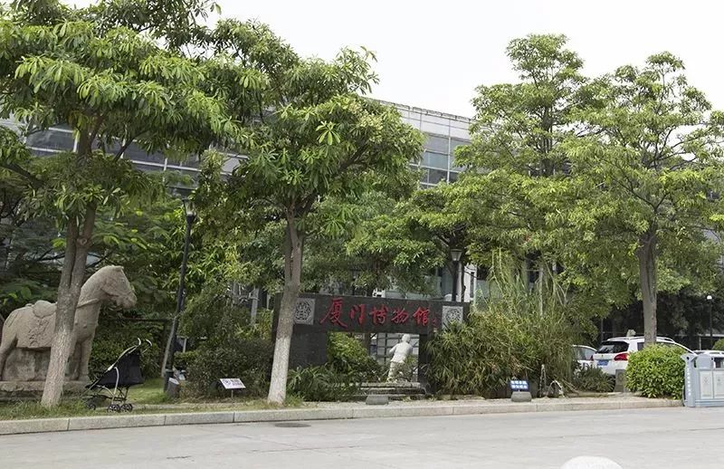 博物馆日各地有什么活动,厦门必须去的博物馆