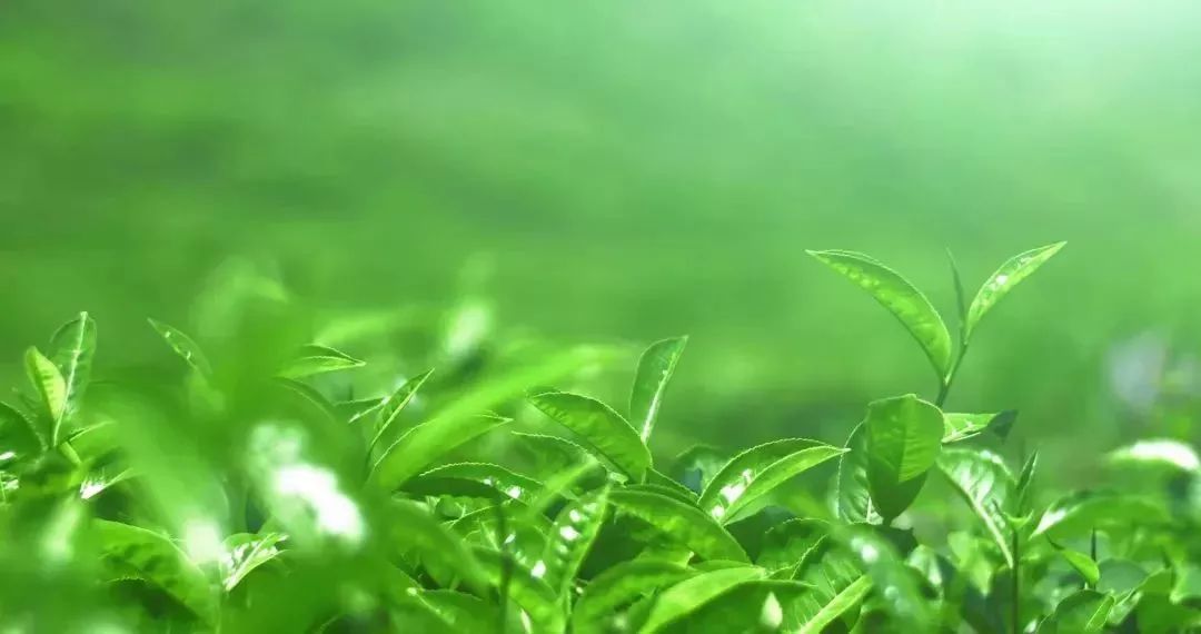 男人也要防晒吗,男士应该防晒吗