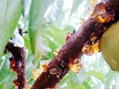 内调养颜原来真的很重要,内调有多重要