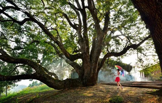 南平除了武夷山还有哪些景点,福建南平市武夷山风景区游记