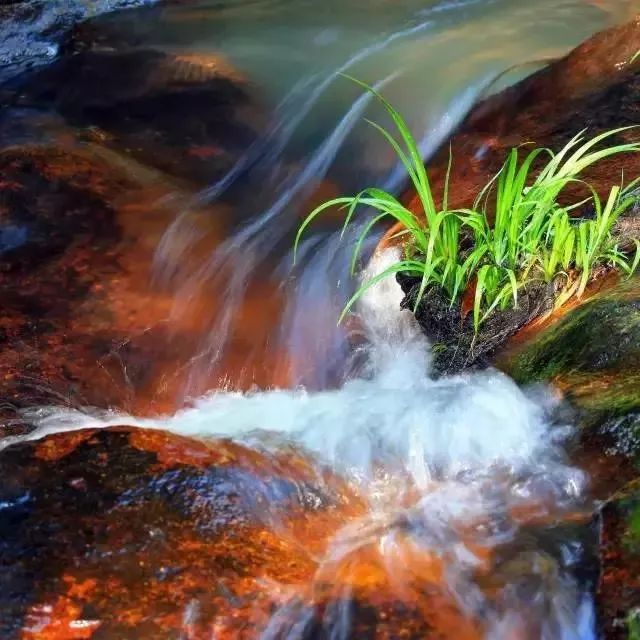 南平除了武夷山还有哪些景点,福建南平市武夷山风景区游记