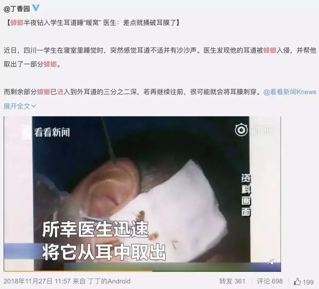 家里有蟑螂怎么样才能把它给消灭,家里有蟑螂用什么东西来消灭它