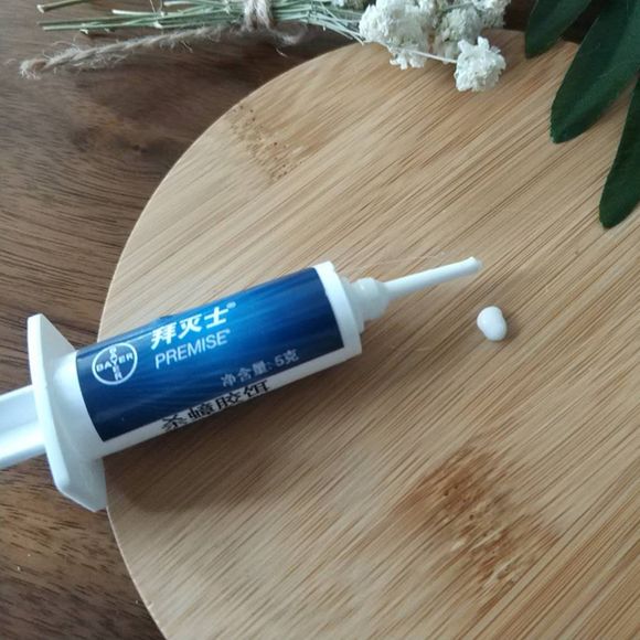 家里有蟑螂怎么样才能把它给消灭,家里有蟑螂用什么东西来消灭它