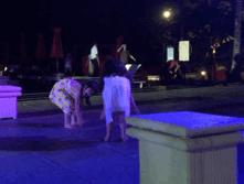 巴厘岛clubmed怎么样,巴厘岛clubmed沙滩怎么样