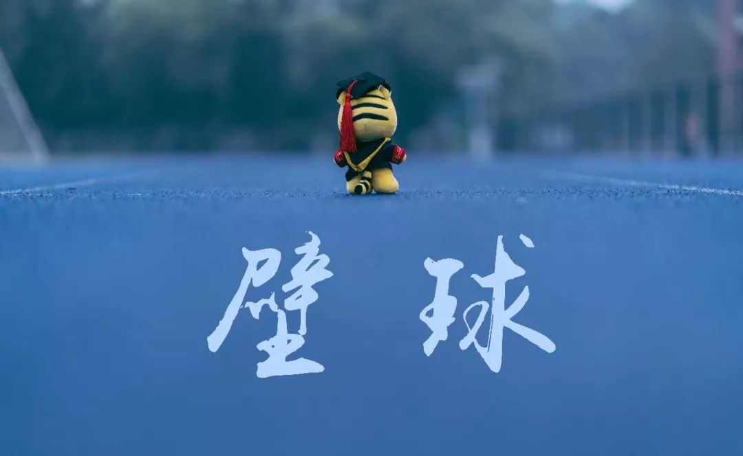 北京运动乐园室内轮滑旱冰场,室内真冰滑冰场设备