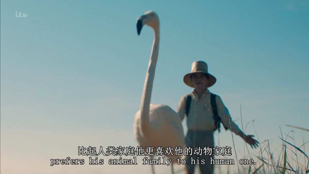 豆瓣9.8,1个寡妇带4个熊孩子,为啥都过得比我爽?