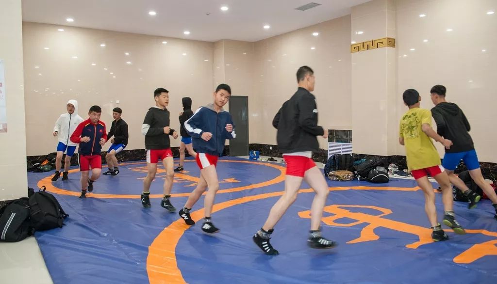 甘肃省国际摔跤锦标赛,甘肃省青少年国际式摔跤锦标赛