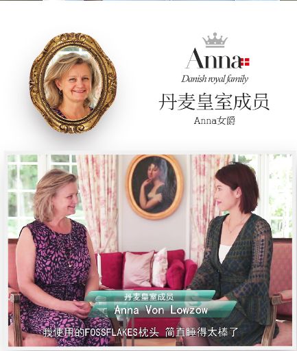 丹麦枕头哪个牌子好,丹麦皇室枕头