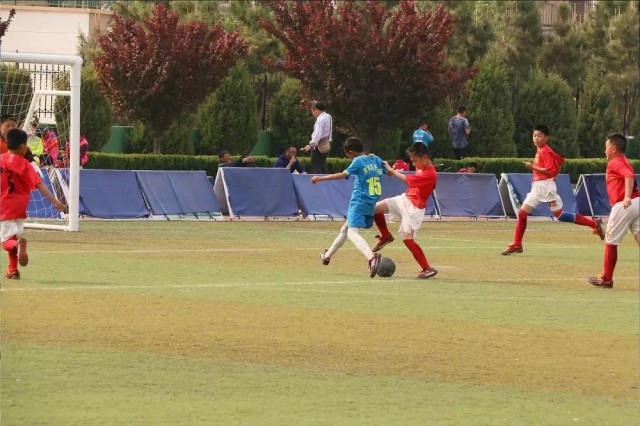 招远市长杯足球赛2023小学组,2019招远市长杯足球赛