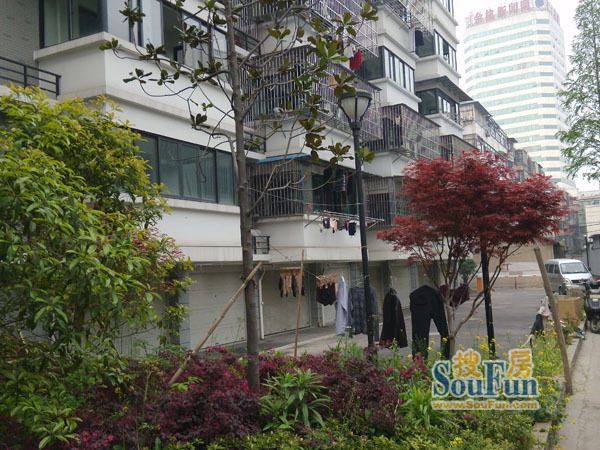 余杭超高人气小区油车弄VS瑞麒时代公寓?