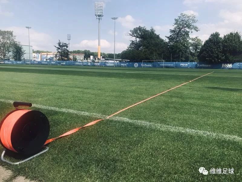 黑娃教练深受厚爱,黑娃教练