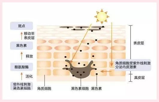 林允的命运,林允为什么这么美貌