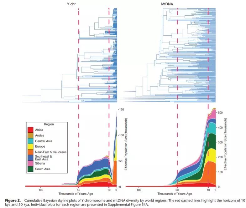 8亿男人都是11个帝王的后代？中国人到底是不是本土进化来的？答案令人惊诧！