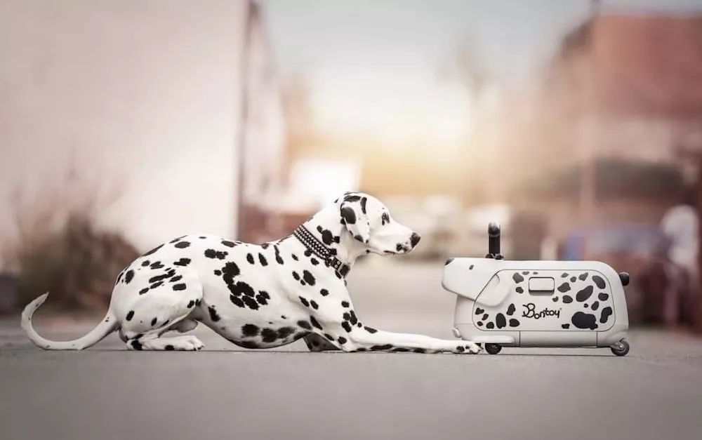 儿童节礼物送手机,儿童节送孩子什么礼物