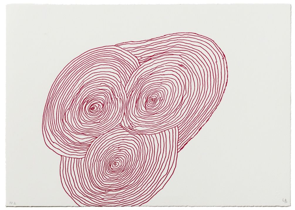 路易斯·布尔乔亚,路易斯布尔乔亚作品元素