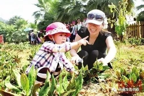 周末去哪儿快来这里尽情撒欢吧,周末周边游去一趟自己想去的地方