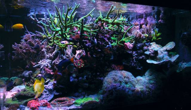 鉴定完毕！这一定是个有钱的主儿