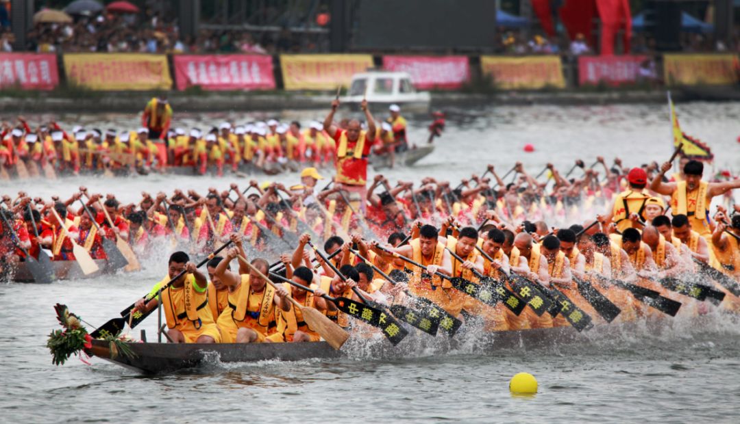 明天附近哪里有龙舟赛,中山市岐江河龙舟赛最佳观看地点