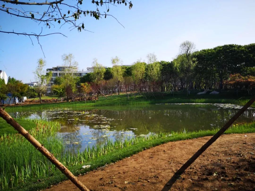 日照海曲公园开放时间,山东日照海边公园是否开放