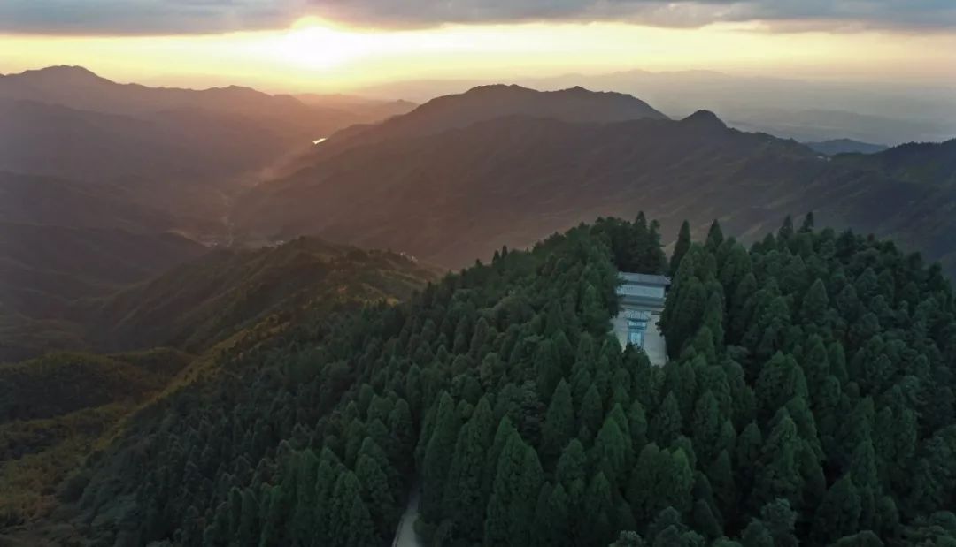 怎么治孩子的懒病,治懒病的最佳搞笑方法