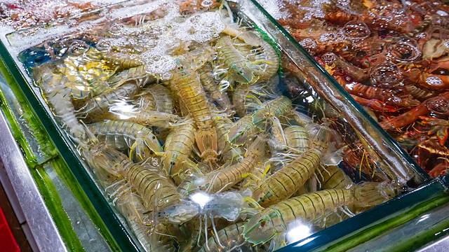 夏威夷之旅蔚蓝色的海,东方夏威夷海洋之心