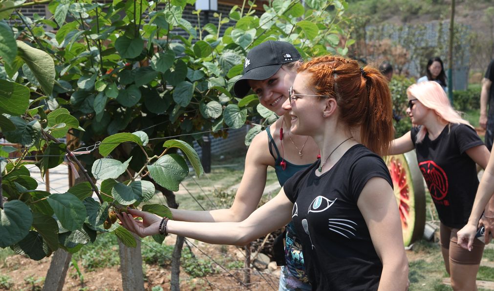 西峡篮球赛直播,西峡篮球赛开幕式直播回看