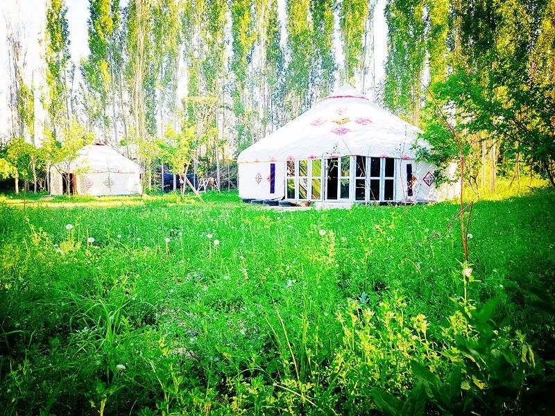 伊犁市便宜又好看的民宿,伊犁值得去的民宿