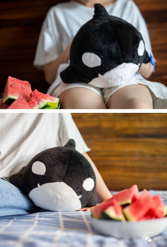 “圆宝”那么可爱，怎么能不盘它呢！