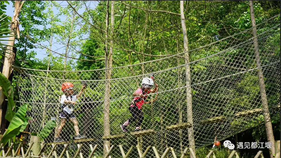 儿童节去哪里好玩,六一都江堰适合1-4岁亲子游的地方