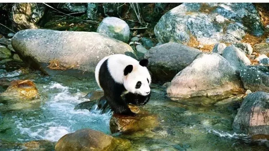 陕西2018年被评全国最美十二个县,陕西最美县域