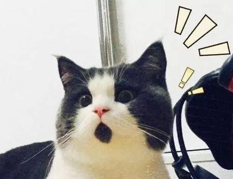 孩子呼吸出来一股恶臭味,三岁女童身体散发臭味真相