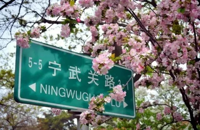 青岛一座浓厚德式风情的海滨城市,青岛一座很美的城市