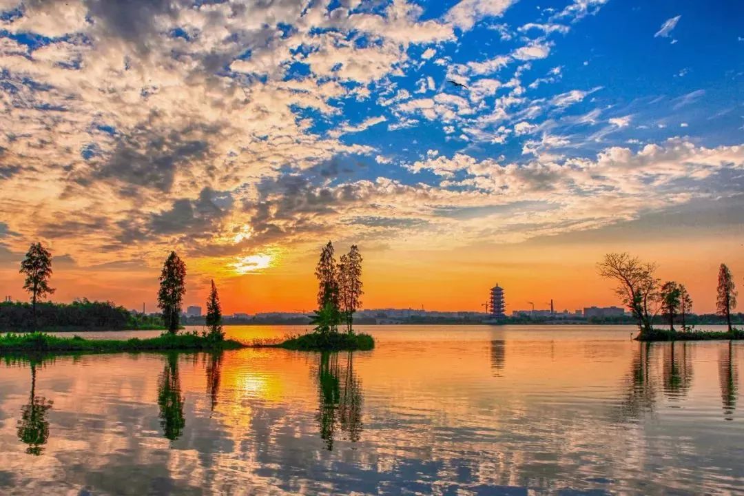 建18.3公里碧道、小学、停车场、公园…东莞这些地方将有大变化！