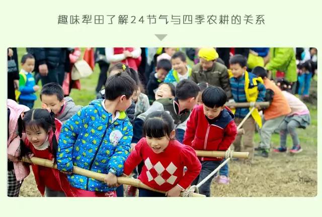 大熊猫铲屎官,都江堰熊猫谷铲屎官报名