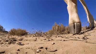 天生就是高个脸有多占便宜？你的脸型吃亏了吗？