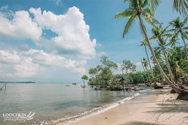 宸存贰灏忓反鍘樺矝,宸存贰