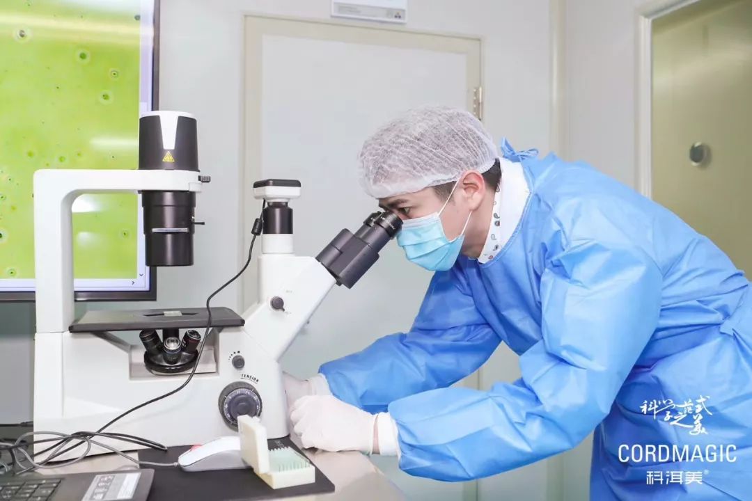 弘叔去哪儿|弘叔的美丽情报局放招啦，小心特派员找上“你”