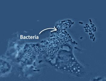 守护健康从消毒开始,守护用药安全从点滴做起