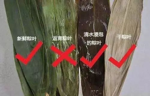 粽叶泡过硫酸铜和正常的区别,怎样辨别粽叶有没有浸泡过硫酸铜