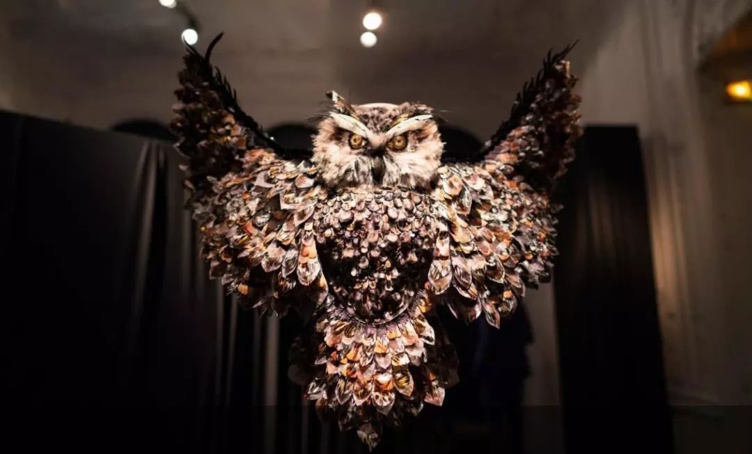 nike滑板宣传片,nikesb女生款