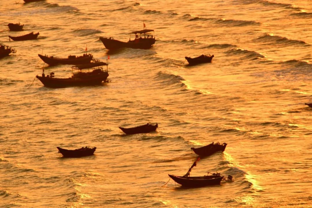 茂名拍摄艺术照,广东茂名的摄影