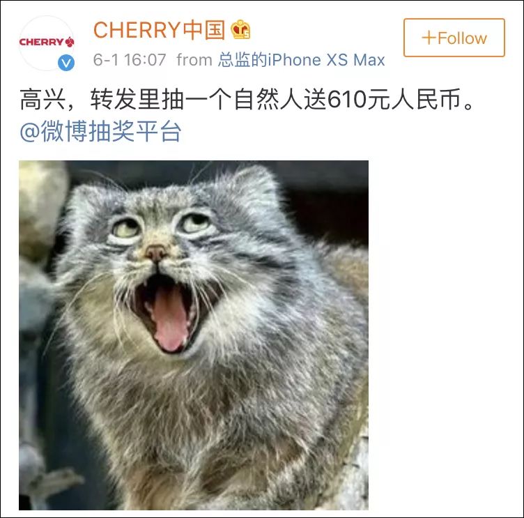 性别歧视？男生送游戏女生送口红，德国键盘品牌被骂惨