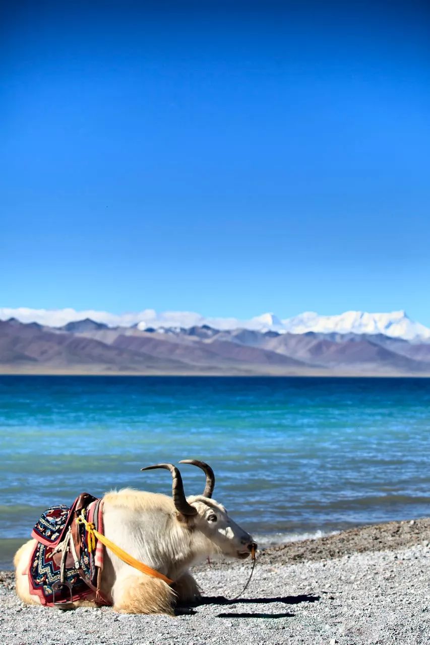 国家地理评选中国最美风景,国家地理评选中国最美100地