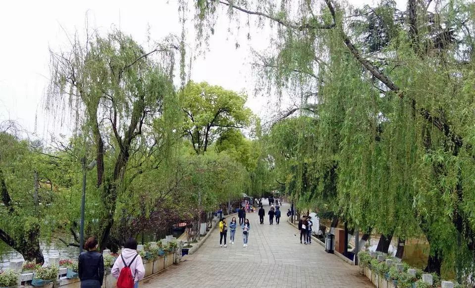 城味|翠湖：蕴含文化的“眼睛”更灵动