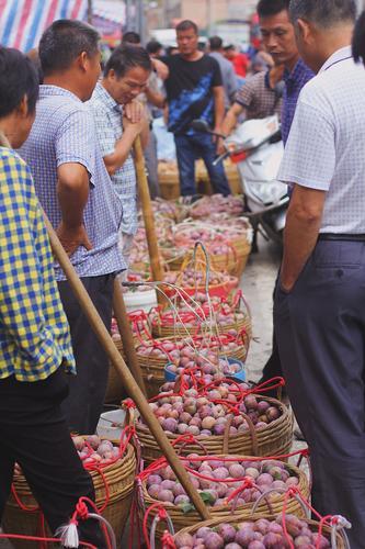 减产增收逆势飘红！“中国三华李第一镇”：今年“银妃”别样红