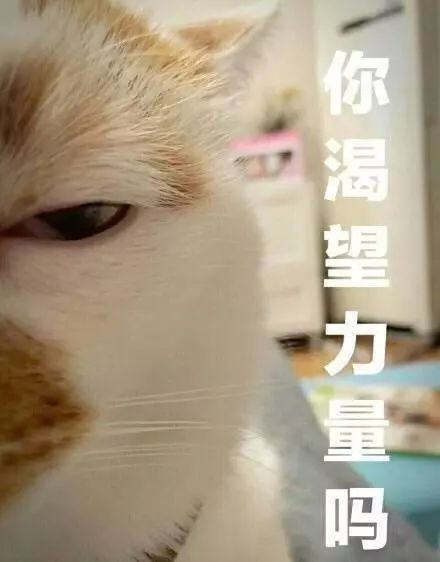 来了来了，团团带着4000000来了！助力自贡青年实现创业梦想！